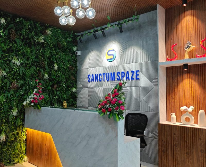 SanctumSpaze1